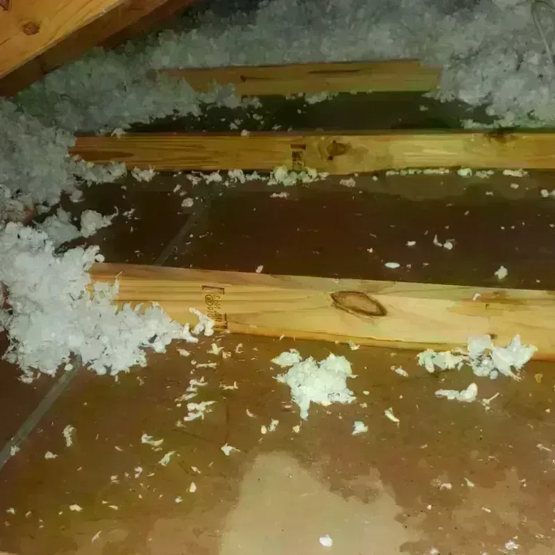 Attic Water Damage in Oregon, OH