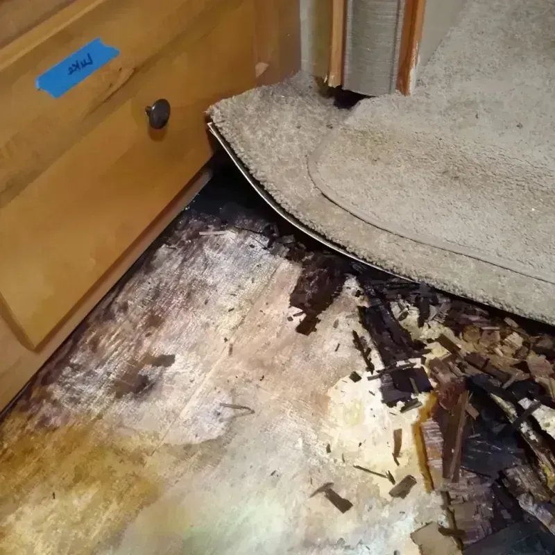 Wood Floor Water Damage in Oregon, OH